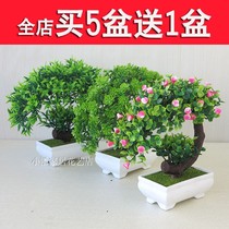 Simulation plant small pot plant living room dining table green plant small tree furnishing plastic decoration flower window decoration pot view