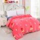 Dày san hô lông cừu nhung flannel mảnh đơn mùa đông cộng với nhung ấm chăn che mui xe lông tơ hai mặt gối kèm chăn