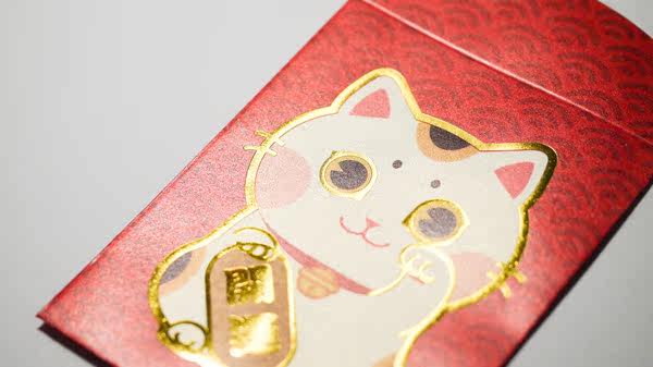 Coussin Manga MEO.G - Ref 2685237 Image 7