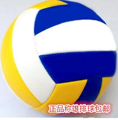 Ballon de volley-ball - Ref 2016589 Image 4