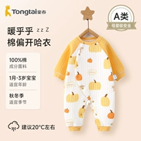 Стиль D-Pumpkin Farm