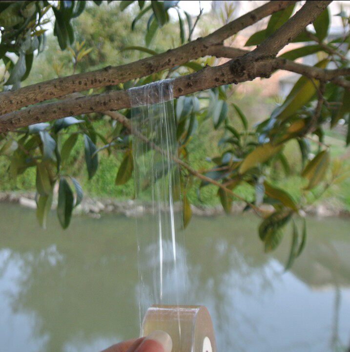 Bonsai Styling Graft Special Membrane Transparent Graft Plastic Strap Fruit Tree Slim Dressing with Wound Stretch Film