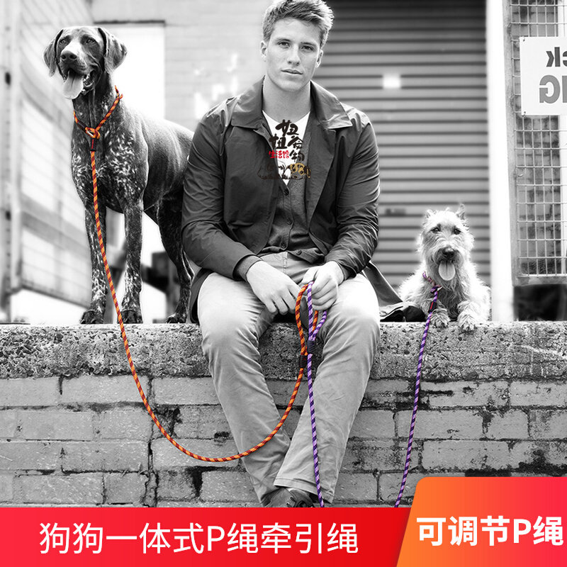 Australian Ezydog Traction Rope P Rope Half P Small Mid Sized Canine Pet Supplies Explosion-proof Dog Rope P Chain Neckline