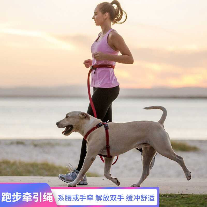 Australia EZYDOG Running traction Rope Dogs Rope Zero Pull Waist Holding Hands Dog Walking Dog Convenience Pet Supplies