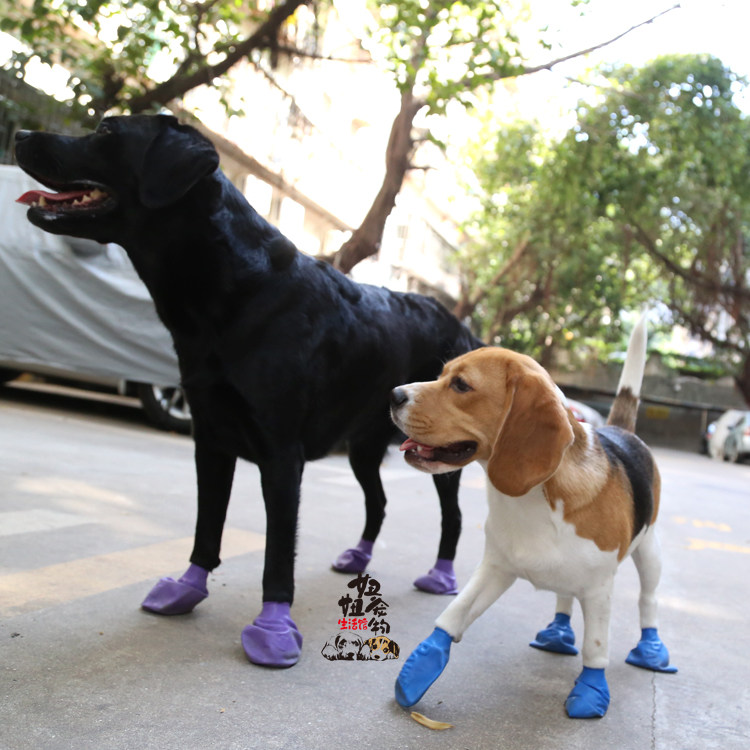 PAWZ high-grade rubber pet waterproof foot cover dog rain shoes waterproof shoes non-slip comfortable dog shoes
