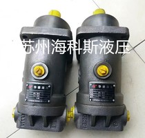 Beijing Huade oblique shaft axial piston pump motor A2FM45 61W-VAB010 45 61W-PAB010