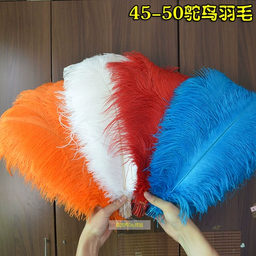 Южная Африка импортированные страусисты