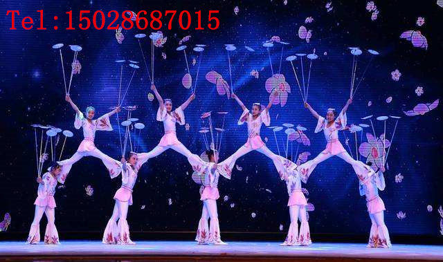 Beijing Acumenic Performance Acumenic Divers Performing High-end Acoustic Performance Acoustic Dance Dial Disk Performance