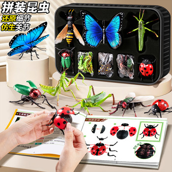 Children's Insect Toys Educational Simulation 4D Assembled Animal Models Butterfly Bee Mantis Early Education Cognitive Gift for Boys