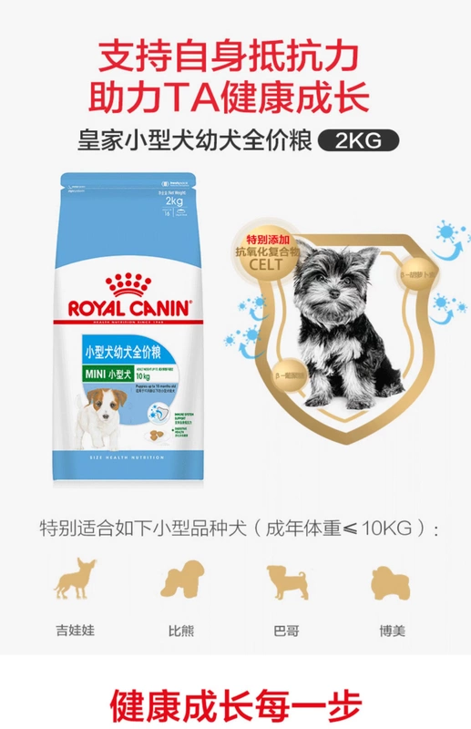 Royal Dog Food MIJ31 Puppy Dog nhỏ 2kg Teddy VIP Pomeranian Bear Chihuahua Universal Puppy Food - Chó Staples