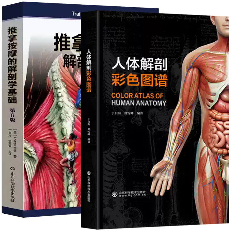 全2冊】推拿按摩的解剖學基礎（第6版）+人體解剖彩色圖譜山東科學技術