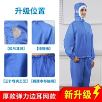 Синий* эластичный стиль края [ушная сеть] Толстая модель