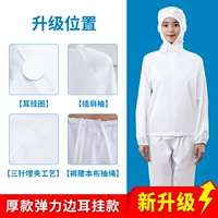 Белый* стиль эластичного края [висящий ухо] толстая модель