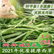 2021 New Timothy grass Dutch pig hay feed Chinchow guinea pig rabbit grain pasture rabbit grass 500g