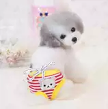 Физиологичные летние штаны, хлопковое нижнее белье, шорты