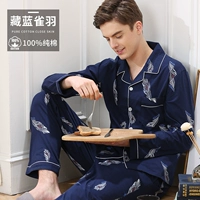 Тибетские голубые птичьи перья [мужская модель]