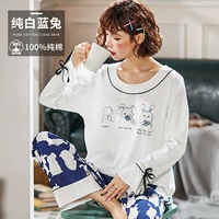 Чистый белый синий кролик