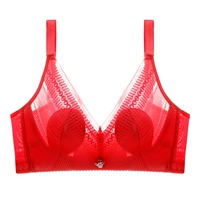 Красный чай улун Да Хун Пао