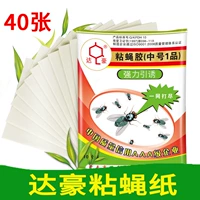 Fly -flies Motions Meties, липкие мухи, картонные липкие мухи, клей, дом разрушенных мух, наводнение на лету