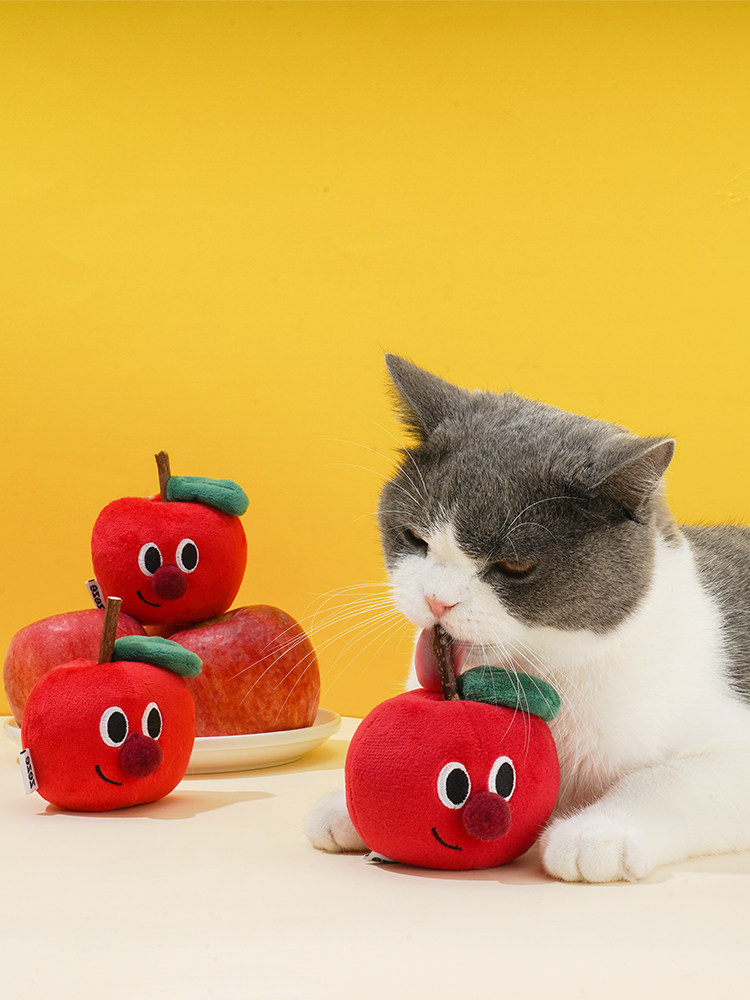 Игрушка для кошек zeze猫玩具木天蓼棒猫咪自嗨解闷含猫薄荷逗猫棒海鲜水果组合套装