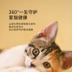 Thức ăn cho mèo Zeze thành mèo con mèo con mèo chung mèo thức ăn chính 2 gói tổng cộng 6 kg - Cat Staples catsrang 5kg Cat Staples
