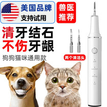 Export brand dog calculus remover cat pet household ultrasonic tooth cleaning tool cleaning tooth scaler
