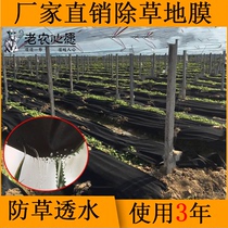 Weeding Bunun with orchard vegetable ground moisturizing and Fat-permeable and new durable black degradable grass film