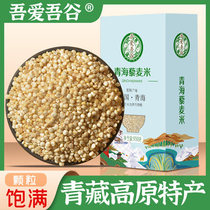 Wu Aiwu Qinghai Gel wood quinoa rice plateau Teryield white quinoa pregnant woman baby staple food rice companion