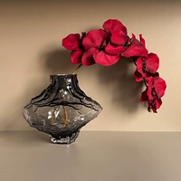 Большой пепел большой+красный phalaenopsis