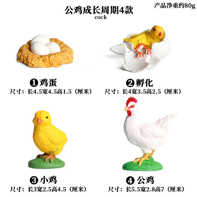 товар из китая 仿真昆虫动物成长周期模型仿真 青蛙 蝴蝶 蚕宝宝 种子 生长周期 Zhongjieming toys