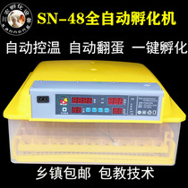 Electric Holding Chickens machine Little Chicken Oven Hoocher Hatchering Huddlers Creamy Egg Box Puddler