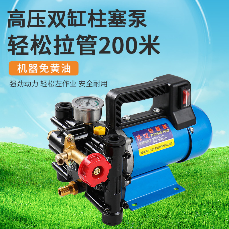 Portable Agricultural Electric Fruit Tree Sprayer 12V48V60V220V High-Voltage Dual-Cylinder Plunger Pump
