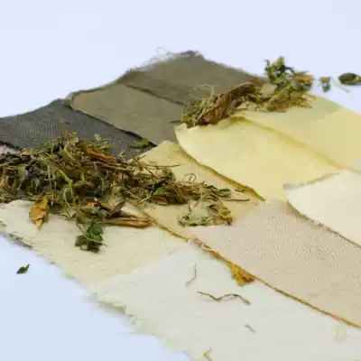 Rice Heinari Zihua Died natural plant dyes, grass and wood dyed dyeing dyed DIY