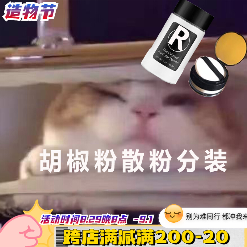 Spot American RCMA pepper powder loose powder sub-pack trial package transparent colorless makeup control oil concealer baking honey powder