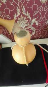 Large Diameter Open Natural Hollow Gourd of Various Sizes