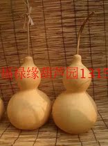 17-45cm various sizes natural feng shui Hyacinth