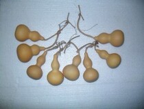 10cm natural accessories