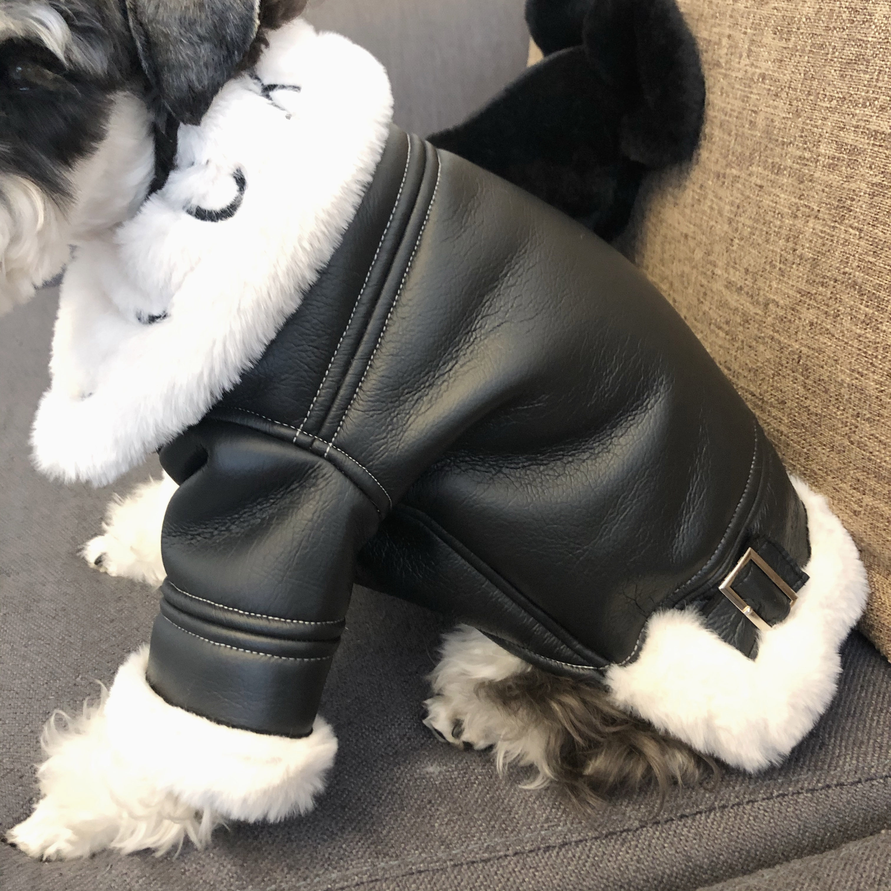Fzl狗狗衣服冬季保暖法鬥雪納瑞比熊泰迪貓中小型犬羊羔毛皮外套