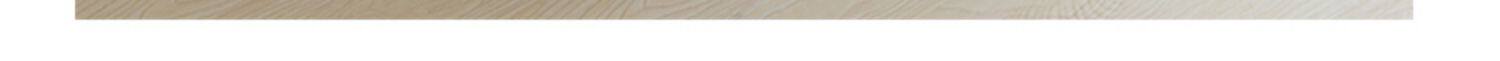 Elegant Cotton Bed Sheet 3