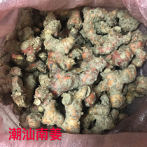 () Chaoshan Nanjiang Fresh Nangginger 5 Jin brine soup Shantou beef hot pot seasoning