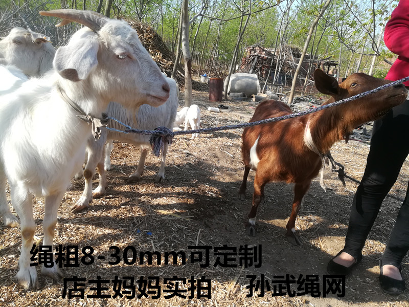 Pull horse rope cow rope pull horse rope cow horse rein pull sheep rope tied sheep rope flower polyester fiber rope 5-year warranty real shot