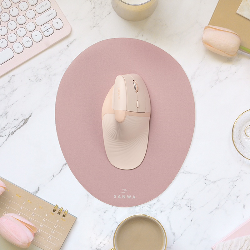 SANWA Ergonomic Wireless Mouse