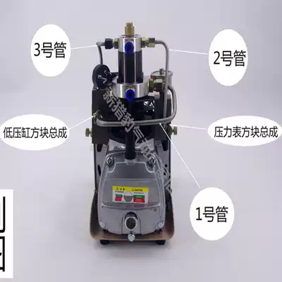 High pressure pump repair accessories Full set of single cylinder air pump 30map iron pipe Stainless steel elbow pressure gauge seat