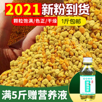 Feeding bee pollen bee feed dry mixed powder bee grain New 2021 New pollen granules special Rapeseed pollen