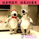 hộp nhựa nhỏ 30 trung bình Grabber búp bê hoạt hình sang trọng đồ chơi búp bê gấu ném đám cưới trò chơi quà tặng búp bê hộp nhựa tròn