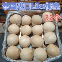 Thai imported coconut Emperor 32 loaded big fruit dessert shop milk tea shop Thai fragrant coconut fresh fruit coconut