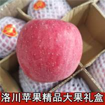Authentic Luochuan Red Fuji Apple Big Fruit Gift Box 13 Jin Luochuan Fuji Fresh Fruit Season Sugar Heart