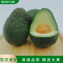 Mexican avocado fresh imported fruit forest cream taste dense high-end quality