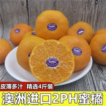 Spot Australian orange imported 2PH Australian Orange fresh citrus imported tangerine fresh fruit