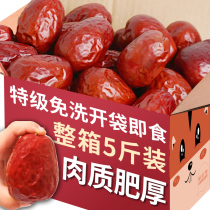 Xinjiang specialty red jujube Special 5kg package Hetian jujube Ruoqiang gray jujube snack disposable casual snack a whole box